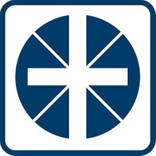 Professional Vde Tornavida Sl/pz 1 x 100MM (1x Tornavida Sl/pz 1 x 100MM)