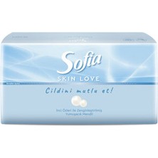 1 Adet Sofia Skin Love Mendil 100'LÜ