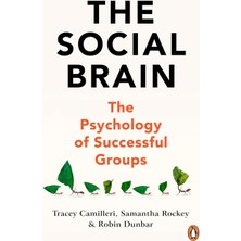 The Social Brain: The Psychology Of Successful Groups