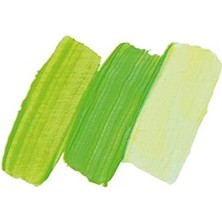 35 ml College Oil May Green Oil 31 520 009