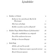 Kedi Felsefesi: Kediler ve Hayatın Anlamı