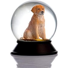 Cam ve Reçine Altın Patiler Köpek Retriever Kar Küresi Hediye