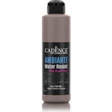 Ambıente Suya Day. Akr. Aw-17 Vizon 250ML + Katalizör 10GR