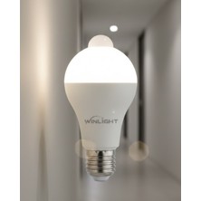 Zero Land Xmpdby Sensörlü Lamba