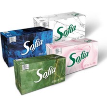 3 Adet Sofia Kutu Mendil 100'LÜ