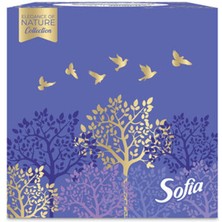 2 Adet Sofia Küp Kutu Mendil 50'li