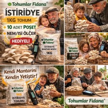 Tohumcu Kikizade TOHUMLAR FiDANA İstiridye Mantarı Başlangıç Seti ( 1 kg Tohum ve Nem Ölçer + 10 Adet Micro Delikli Torba)
