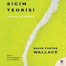 Epilons Sicim Teorisi