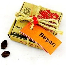 Epilons Dilek Tohumları - Başarı