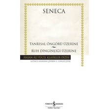 Epilons Tanrısal Öngörü Üzerine - Ruh Dinginliği Üzerine - Hasan Ali Yücel Klasikleri