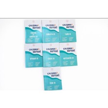 İnformal Yayınları Meb- 10. Sınıf Çalışma Defterleri - Türk Dili ve Edebiyatı & Matematik & Coğrafya & Tarih & Fizik & Kimya & Biyoloji