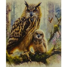 Elegantshop 5d Yapışan Boncuk Mozaik Tablo 40*50 cm XQC88303