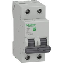Schneider EZ9F34220 ,easy9 2-Faz C-20A/4.5KA Otomatik Sigorta