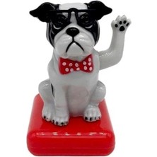 Space Iç Aksesuar Beyaz-Siyah / ICSE23