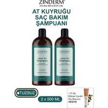 Zinderm At Kuyruğu Şampuanı -  Hızlı Uzama Etkili Tuzsuz Şampuan (2 Adet x 500 Ml)
