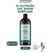 Zinderm At Kuyruğu Şampuanı -  Hızlı Uzama Etkili Tuzsuz Şampuan (500 ML)