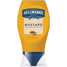 Hellmann's Hardal 250 gr x 3 Adet