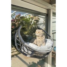 Reyo Lüxperi Hilal Kedi Cam Yatağı & Vantuzlu Cam Yatağı & Kedi Pencere Yatağı Açık Gri