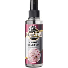 Cherry Blossom Kiraz Çiçeği Araba Kokusu 170 ml - Kalıcı Sprey Oto Parfümü
