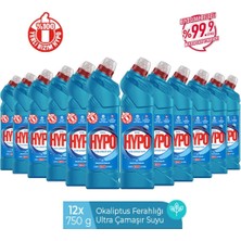 Hypo Ultra Kıvamlı Çamaşır Suyu Okaliptus 750 gr x 12 Adet