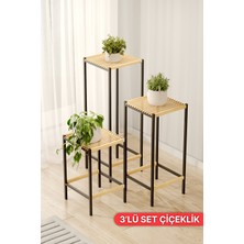  Bino 3'lü Set Dekoratif Çiçeklik Takımı - 50-70-90 cm Ahşap Tablalı Metal Saksı Standı Iskandinav