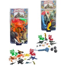 Epilons - Deni̇z Hayvanlari Kartela