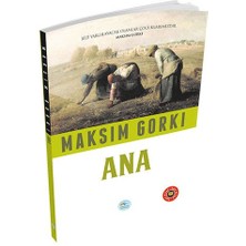 Lisinya Özet Kitap - Ana