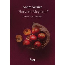 Lisinya Harvard Meydanı