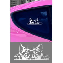Mıgnatıs Bagajdan Bakan Kedi Oto Araba Cam Sticker Çıkartma Bilgisayarlar,kamyonlar, Motosikletler Için