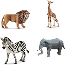 Eco Lounge Bma-13 Pvc Pakette Dörtlü Vahşi Hayvanlar