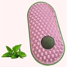 Eco Lounge Silikon Kaşıyıcılı Kedi Otu