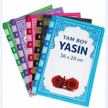 SHR Tasarım 25'li Karışık Renk Tam Boy Yasin Kitabı 16X24 cm – Mevlüt, Cenaze ve Hayır Dağıtmalık Yasin