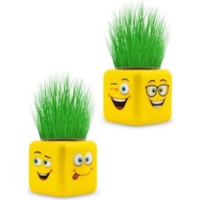 Braventa Collection 2 Adet Çimoji Küp Çim Adam - Çocuk ve Yetişkin - Oyun ve Eğitici