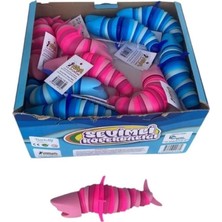 Ergün Collection PYR003 Küçük Köpek Balığı