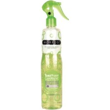 Ergün Collection Morfose Çift Fazlı Bıotin Fön Suyu 400 ml