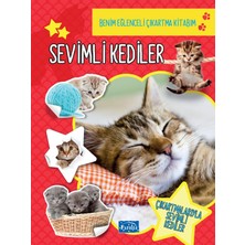 Braventa Collection Sevimli Kediler