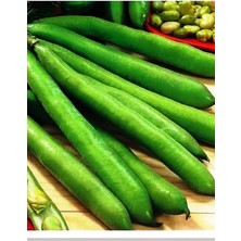 Braventa Collection Agrodal Tarım Ata Tohumu Yerli Bakla Sevilla 30 Adet Tohum