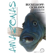 Braventa Collection Buckelkopfcichliden: Steatocranus: Die Gattung Steatocranus (Art Für Art: Süsswasser): 17