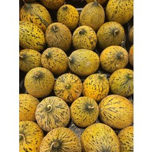 Braventa Collection Erdem Garden Doğal Kışlık Kavun Kırkağaç (637) 100 Ad. Tohum