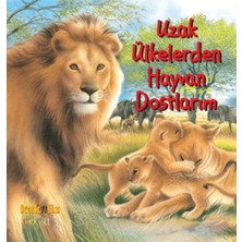 Ergün Collection Uzak Ülkelerden Hayvan Dostlarım