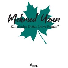 Ergün Collection Küllerinden Doğan Dil ve Roman