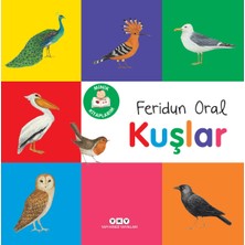 Braventa Collection Minik Kitaplarım - Kuşlar