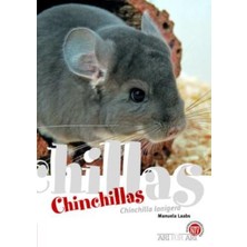 Braventa Collection Chinchillas: Chinchilla Lanigera (Art Für Art: Kleinsäuger): 12