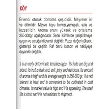 Braventa Collection Agrodal Tarım Ata Tohumu Yerli Doğal Köy Domatesi 1000 Adet Tohum