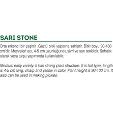 Braventa Collection Agrodal Tarım Ata Tohumu Yerli Turşuluk Acı Biber 500 Ad Tohum