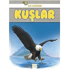Braventa Collection Kuşlar - Ilk Hazinem