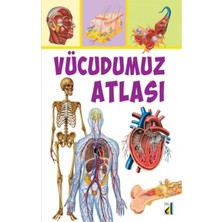 Ergün Collection Vücudumuz Atlası