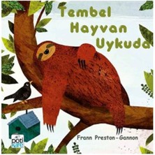 Ergün Collection Tembel Hayvan Uykuda