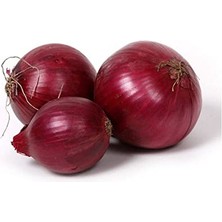 Braventa Collection 200 Adet Tohum Yerli Mor Soğan Tohumu Ata Tohum Kırmızı Soğan Tohumu + Sürpriz Sebze Tohum Hediyeli