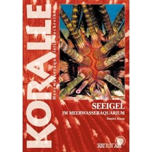 Braventa Collection Seeigel: Im Meerwasseraquarium (Art Für Art / Meerwasser)